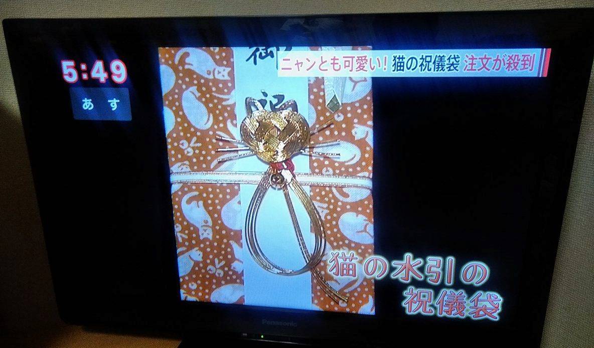 猫の祝儀袋が長野県の夕方ニュースで放送